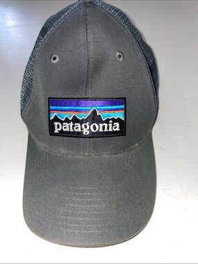 Patagonia gray SnapBack hat